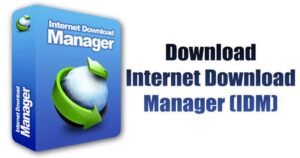 internet download manager free download for pc